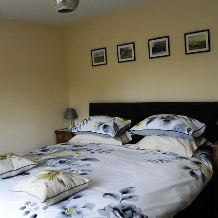 Bed and Breakfast Bro Dafydd Aberystwyth Exterior foto
