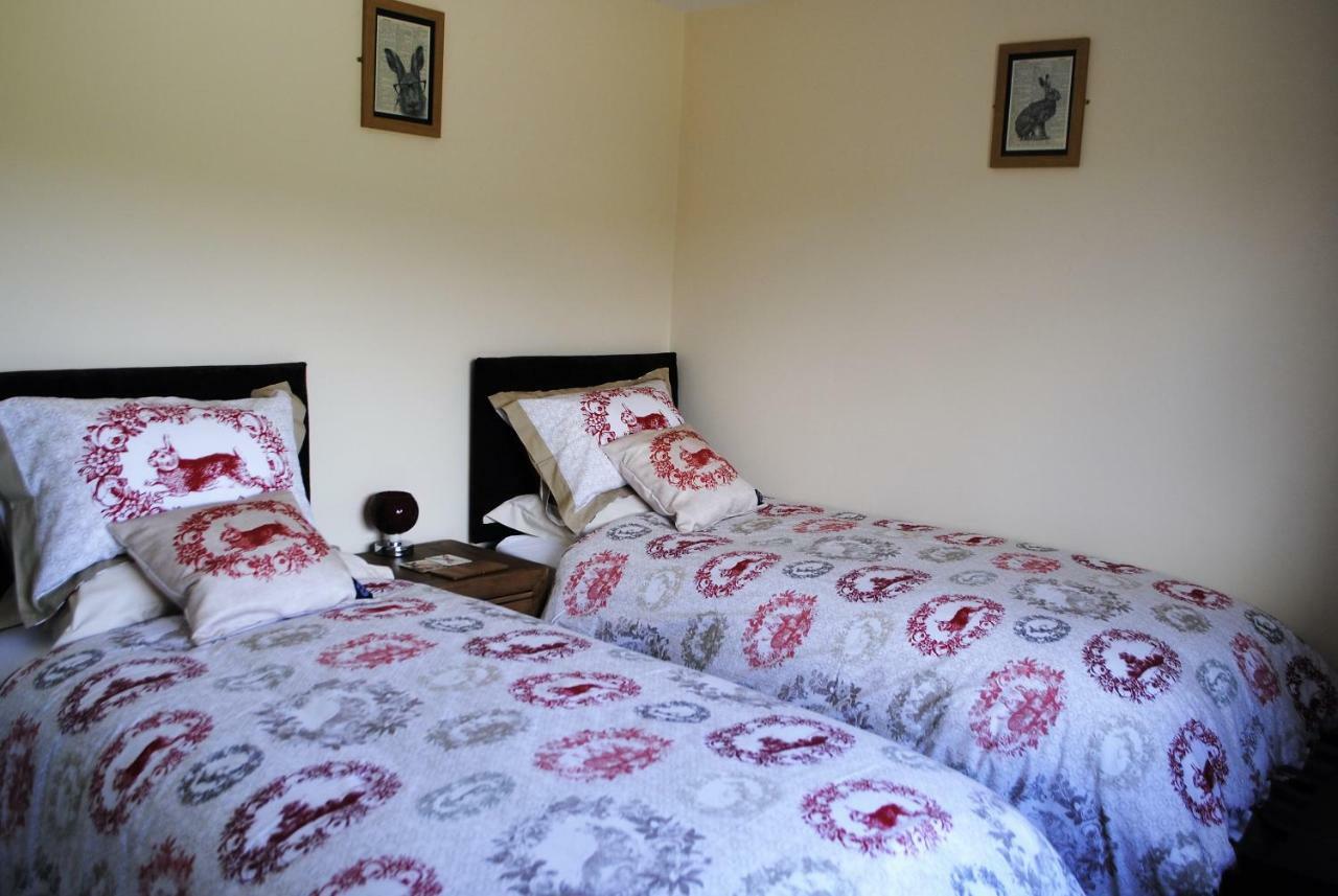 Bed and Breakfast Bro Dafydd Aberystwyth Exterior foto
