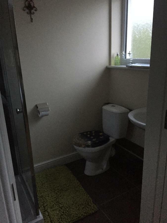 Bed and Breakfast Bro Dafydd Aberystwyth Exterior foto
