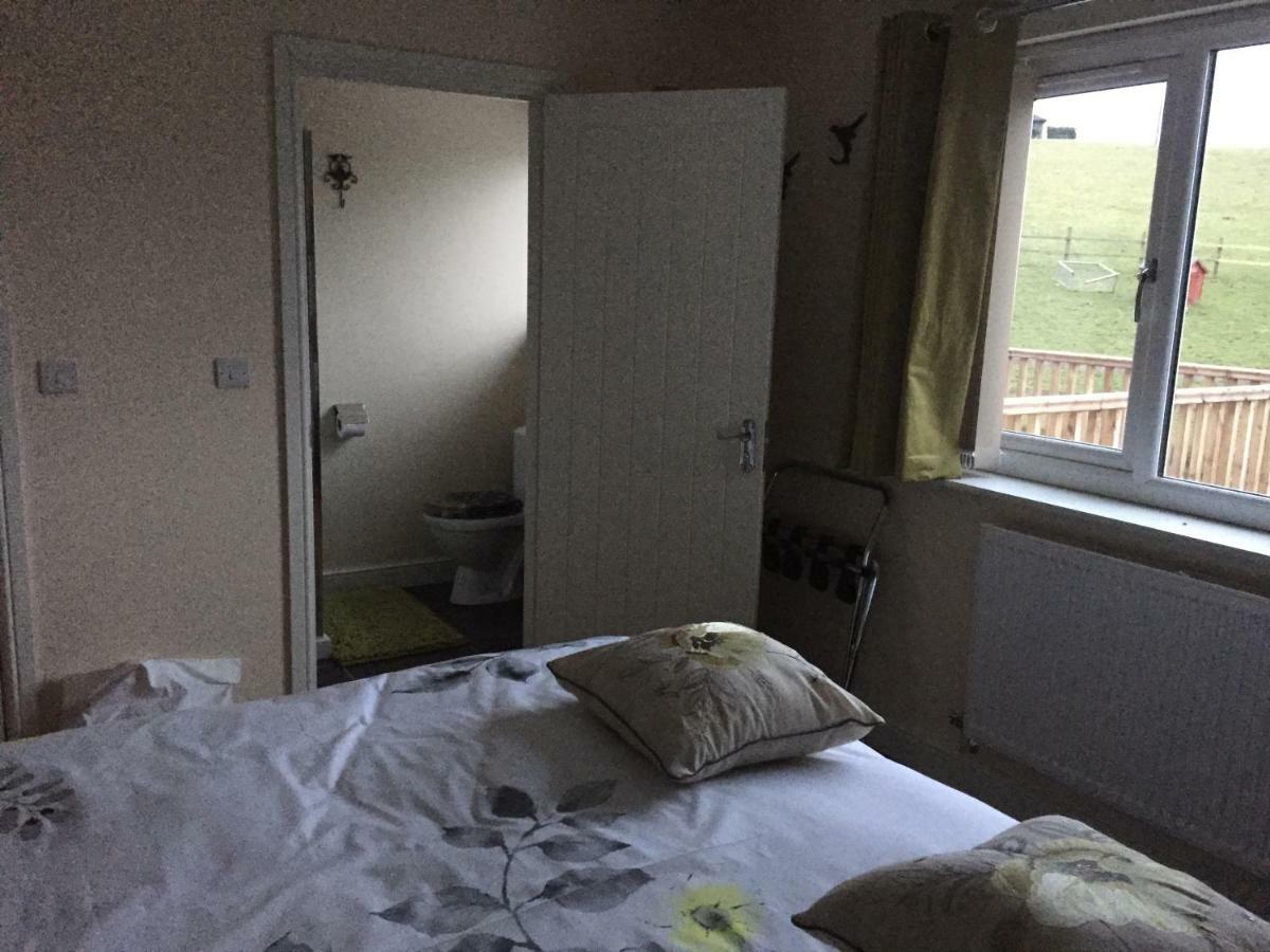 Bed and Breakfast Bro Dafydd Aberystwyth Exterior foto